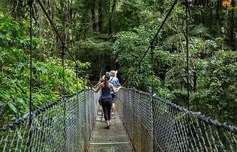 Lodging + Mistico Hanging Bridges